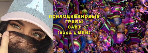 МДПВ Елизово
