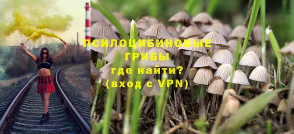 МДПВ Елизово