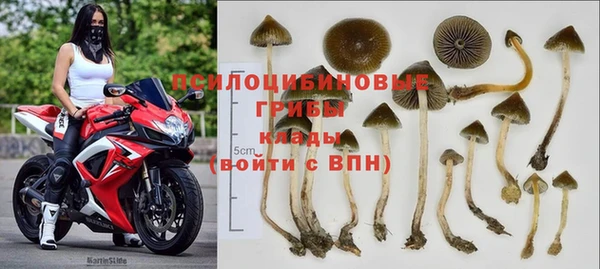 МДПВ Елизово