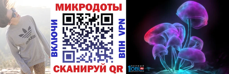 дарк нет телеграм  Змеиногорск  Псилоцибиновые грибы Psilocybe 